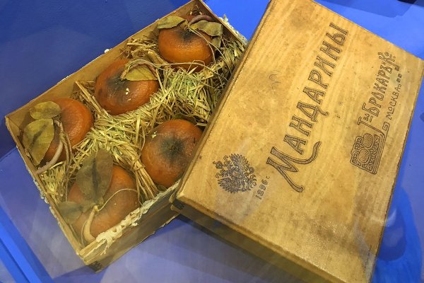 Кракен зеркало ссылка онлайн