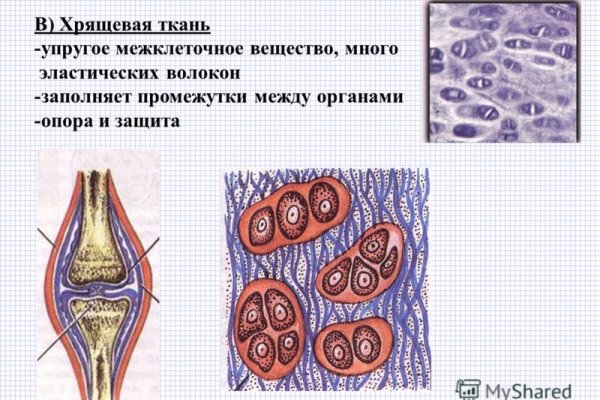 Kraken ссылка зеркало рабочее